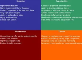 Orthopedic Shoe Store SWOT Analysis Plus Business Plan