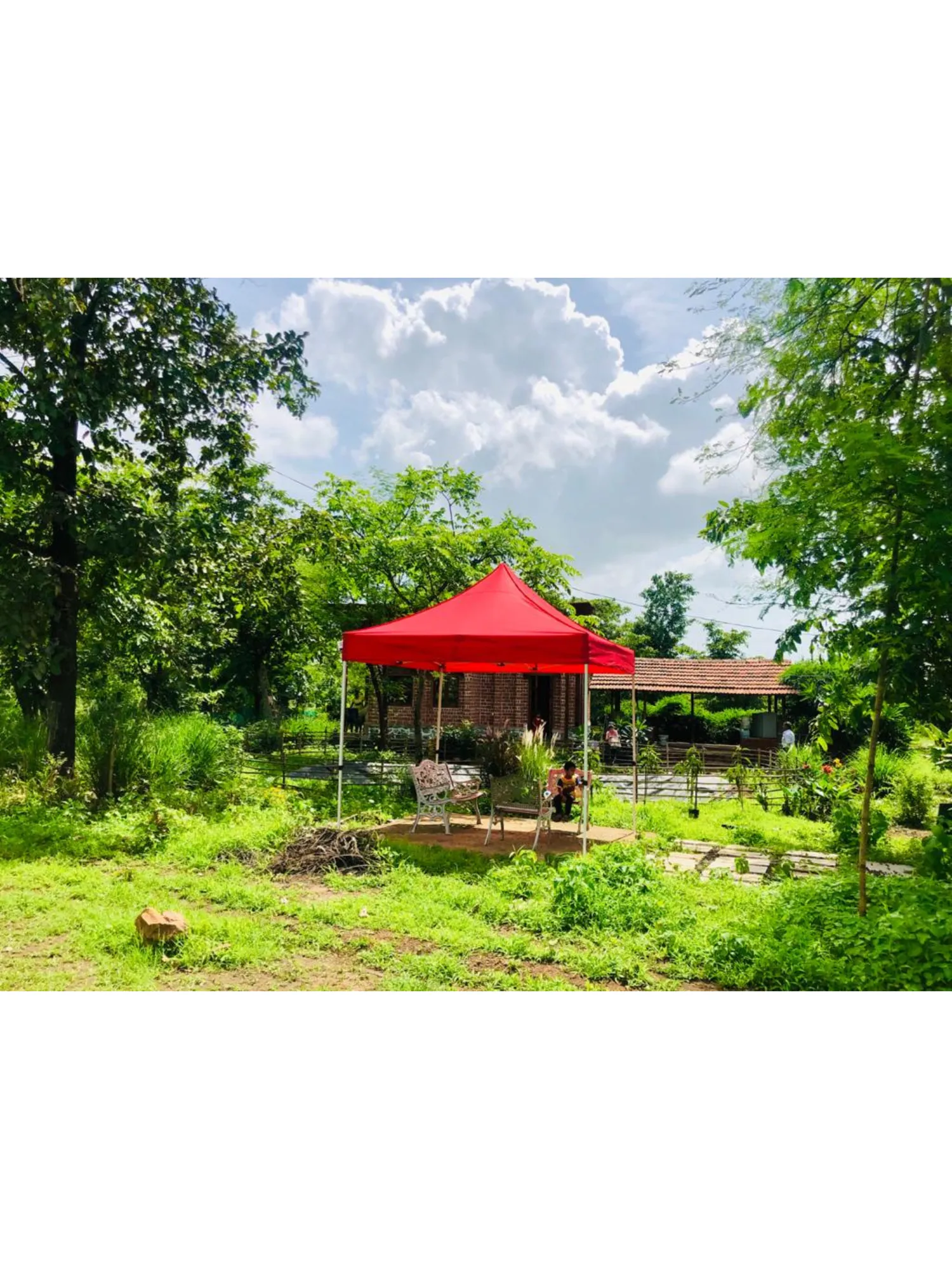 Outdoor Gazebo Tents